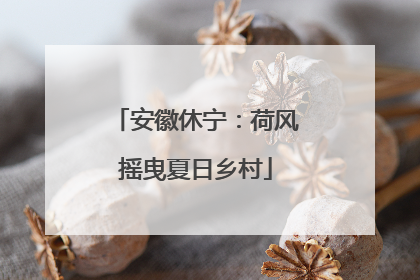 安徽休宁：荷风摇曳夏日乡村