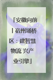 安徽向前丨宿州埇桥区：建智慧物流 兴产业引擎