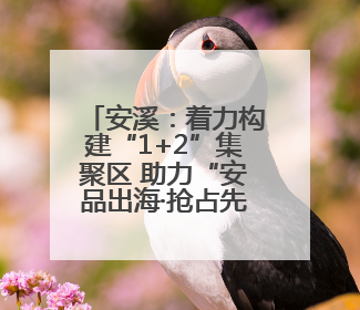 安溪：着力构建“1+2”集聚区 助力“安品出海·抢占先机”