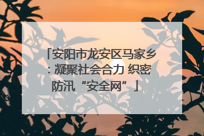 安阳市龙安区马家乡：凝聚社会合力 织密防汛“安全网”