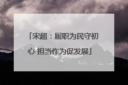 宋超：履职为民守初心 担当作为促发展