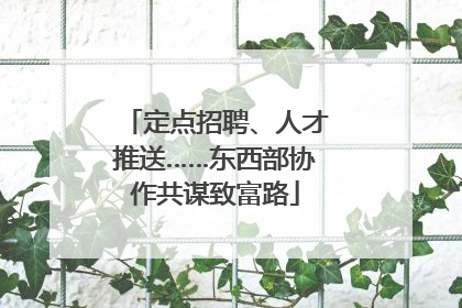 定点招聘、人才推送……东西部协作共谋致富路