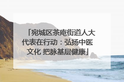 宛城区茶庵街道人大代表在行动：弘扬中医文化 把脉基层健康