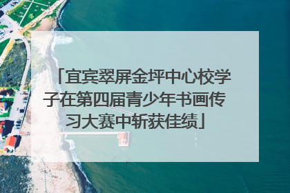 宜宾翠屏金坪中心校学子在第四届青少年书画传习大赛中斩获佳绩