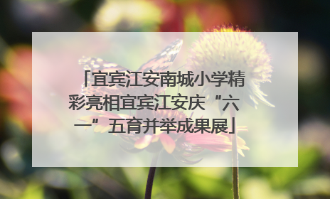宜宾江安南城小学精彩亮相宜宾江安庆“六一”五育并举成果展
