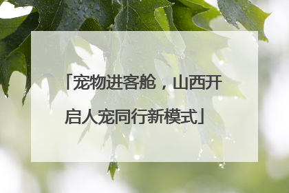 宠物进客舱，山西开启人宠同行新模式