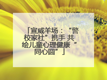 宣威羊场：“警校家社”携手 共绘儿童心理健康“同心圆”