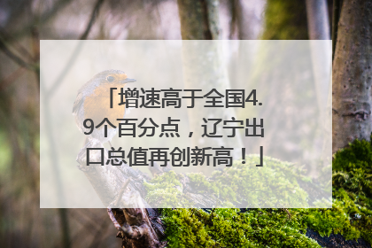 增速高于全国4.9个百分点，辽宁出口总值再创新高！