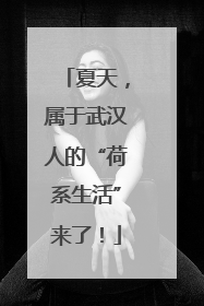 夏天，属于武汉人的“荷系生活”来了！
