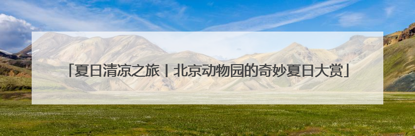夏日清凉之旅丨北京动物园的奇妙夏日大赏