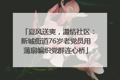 夏风送爽，温情社区：新城街道76岁老党员用蒲扇编织党群连心桥