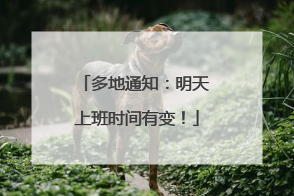 多地通知：明天上班时间有变！