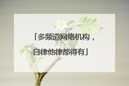 多频道网络机构，自律他律都得有
