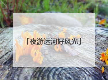 夜游运河好风光