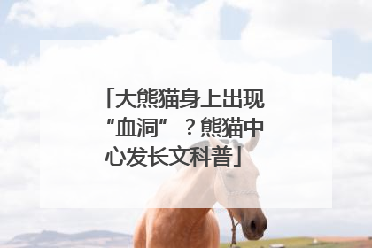 大熊猫身上出现“血洞”？熊猫中心发长文科普