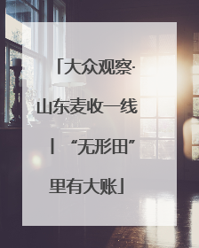 大众观察·山东麦收一线丨“无形田”里有大账