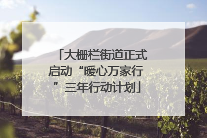 大栅栏街道正式启动“暖心万家行”三年行动计划