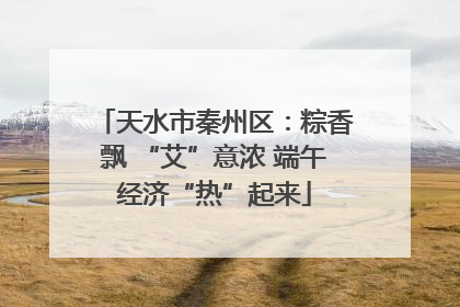 天水市秦州区：粽香飘 “艾”意浓 端午经济“热”起来