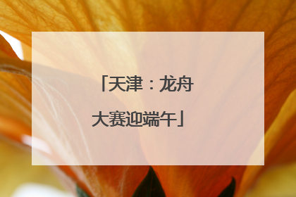 天津：龙舟大赛迎端午