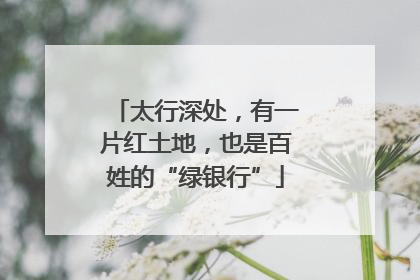 太行深处，有一片红土地，也是百姓的“绿银行”