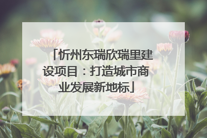 忻州东瑞欣瑞里建设项目：打造城市商业发展新地标