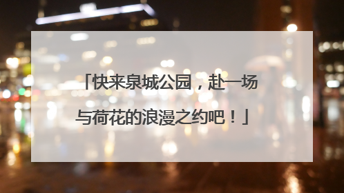 快来泉城公园，赴一场与荷花的浪漫之约吧！