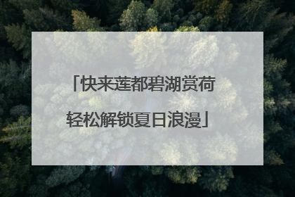 快来莲都碧湖赏荷 轻松解锁夏日浪漫