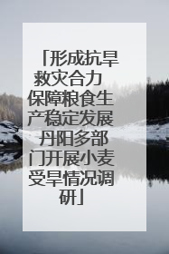 形成抗旱救灾合力 保障粮食生产稳定发展 丹阳多部门开展小麦受旱情况调研