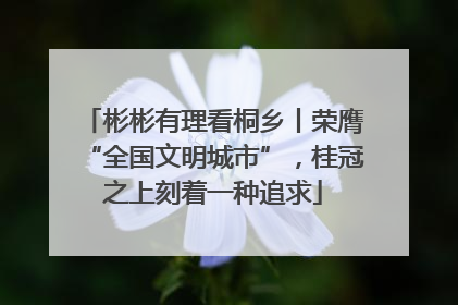 彬彬有理看桐乡丨荣膺“全国文明城市”，桂冠之上刻着一种追求