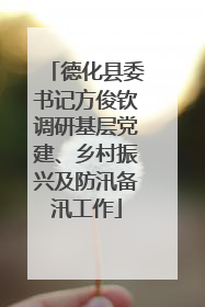 德化县委书记方俊钦调研基层党建、乡村振兴及防汛备汛工作