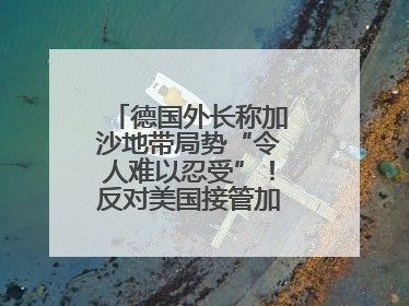 德国外长称加沙地带局势“令人难以忍受”！反对美国接管加沙地带的想法