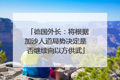 德国外长：将根据加沙人道局势决定是否继续向以方供武