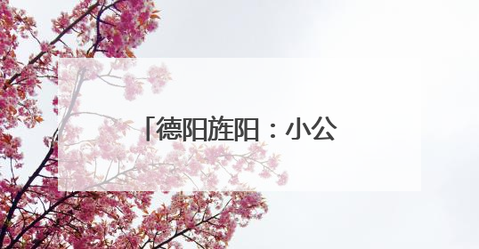 德阳旌阳：小公厕大民生 托起市民“微幸福”