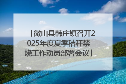 微山县韩庄镇召开2025年度夏季秸秆禁烧工作动员部署会议
