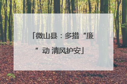 微山县：多措“廉”动 清风护安
