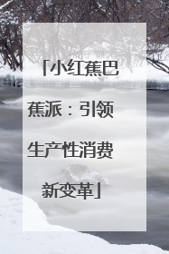 小红蕉巴蕉派：引领生产性消费新变革