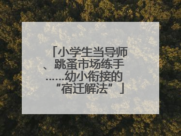 小学生当导师、跳蚤市场练手……幼小衔接的“宿迁解法”