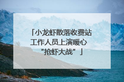 小龙虾散落收费站 工作人员上演暖心“抢虾大战”