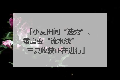 小麦田间“选秀”、蚕房变“流水线”……三夏收获正在进行