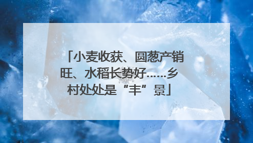 小麦收获、圆葱产销旺、水稻长势好……乡村处处是“丰”景