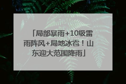 局部暴雨+10级雷雨阵风+局地冰雹！山东迎大范围降雨