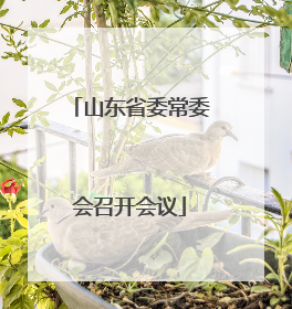 山东省委常委会召开会议