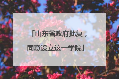 山东省政府批复，同意设立这一学院