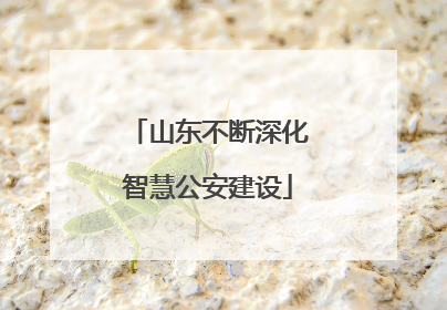 山东不断深化智慧公安建设