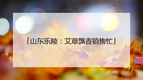 山东乐陵：艾草飘香销售忙