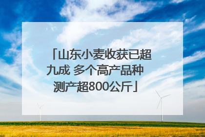山东小麦收获已超九成 多个高产品种测产超800公斤