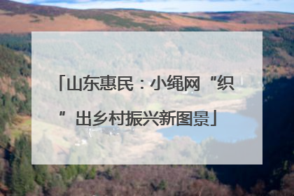 山东惠民：小绳网“织”出乡村振兴新图景