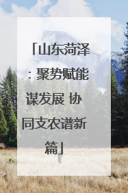 山东菏泽：聚势赋能谋发展 协同支农谱新篇