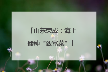 山东荣成：海上播种“致富菜”