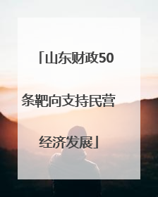 山东财政50条靶向支持民营经济发展